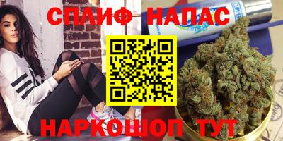 шишки Балаково