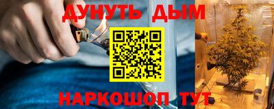 шишки Балаково