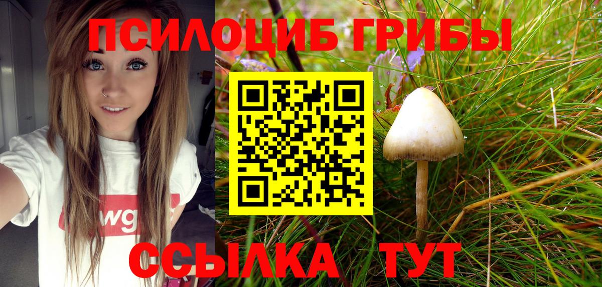 Ессентуки  Псилоцибиновые грибы Cubensis  Вход с VPN 