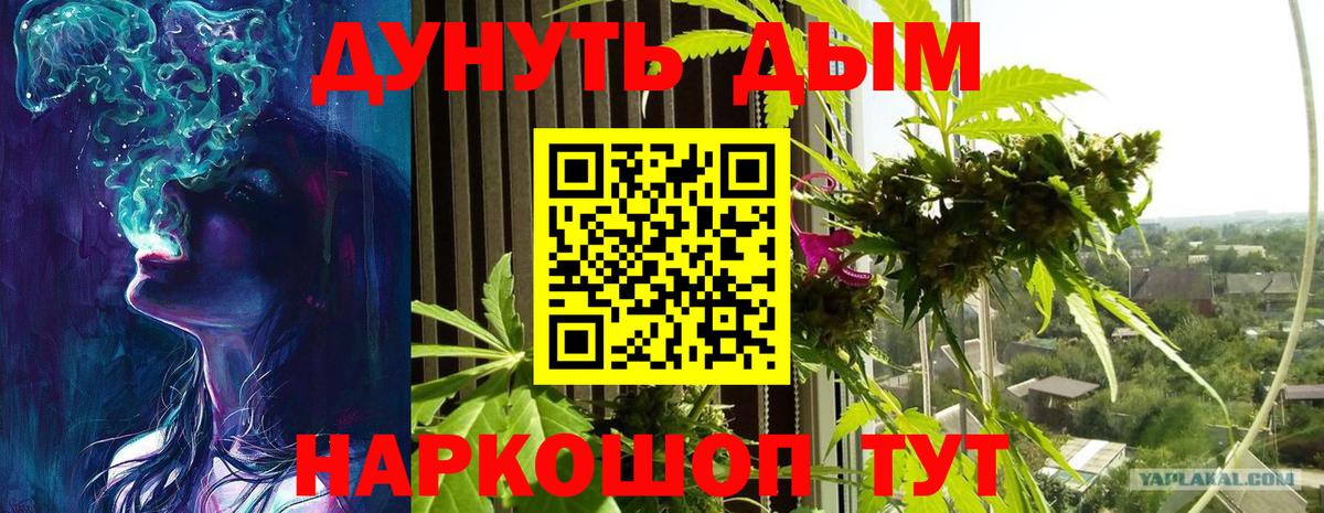 Канабис AK-47  МАРИХУАНА семена  Ессентуки  Вход с VPN  Бошки Шишки ГИДРОПОН  МАРИХУАНА гибрид 